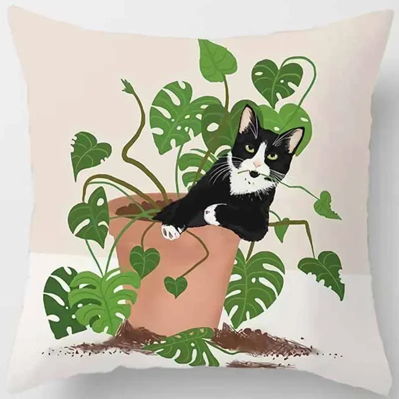 Coussin animaux chat drôle