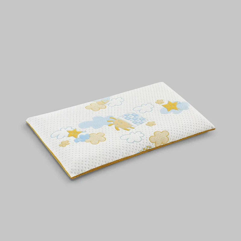 RE:EVOLUTION PILLOW